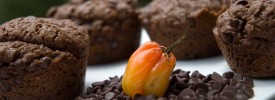 Chocolate Chip Habanero Muffins