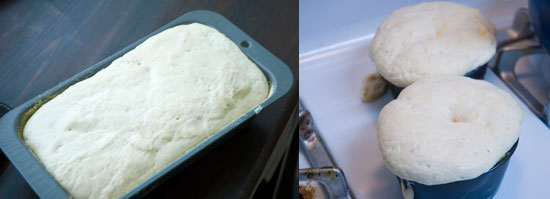 English Muffin Bread Dough