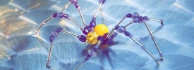 Spider_2911