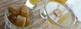 Chicken stock in liquid and solid form