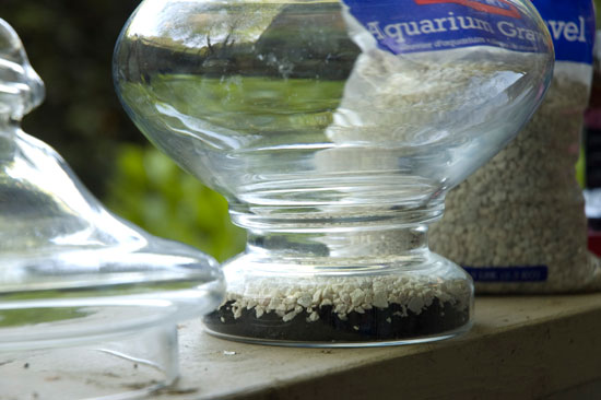 Charcoal and gravel in the bottom of the terrarium.