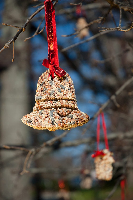 Birdseed ornaments for Christmas