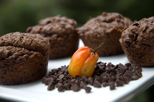 Chocolate Chip Habanero Muffins